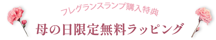 母の日限定無料ラッピング