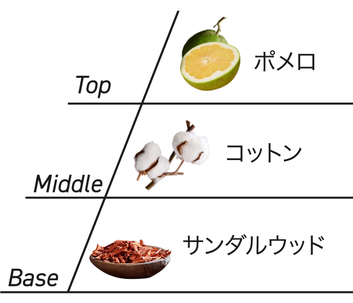 コットンブロッサム&ポメロ
