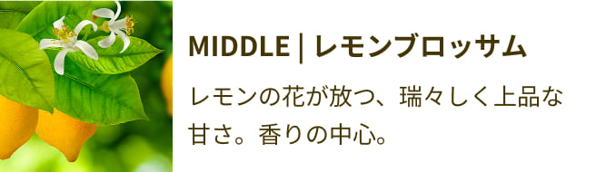 レモンブロッサム