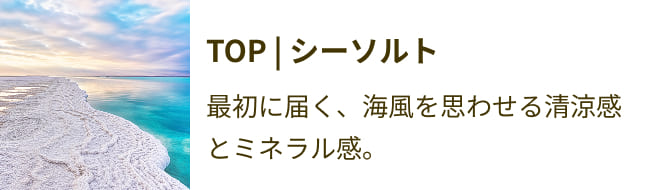 シーソルト